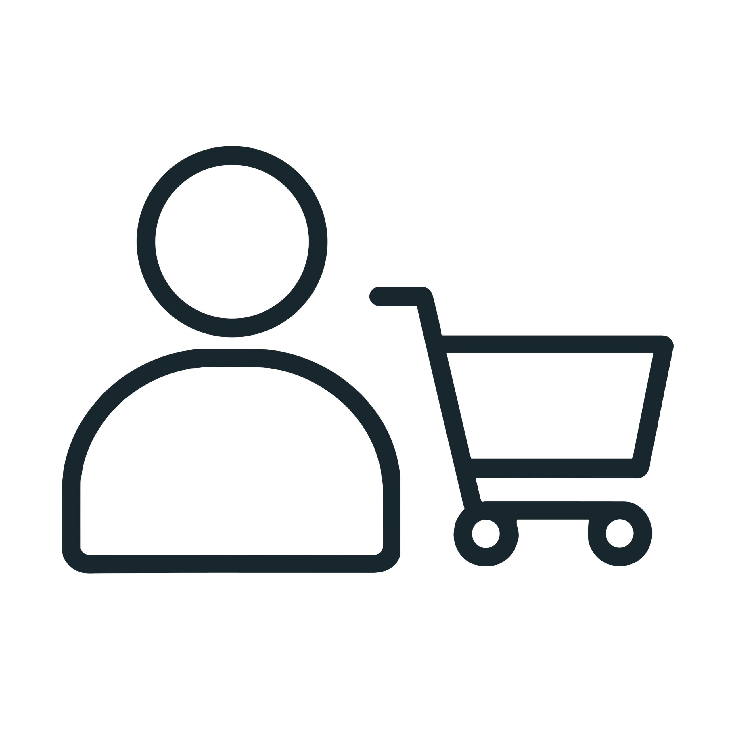 Business to Consumer (B2C) Focused Brands